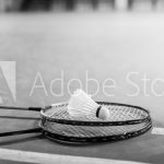 AdobeStock_187561083_Preview